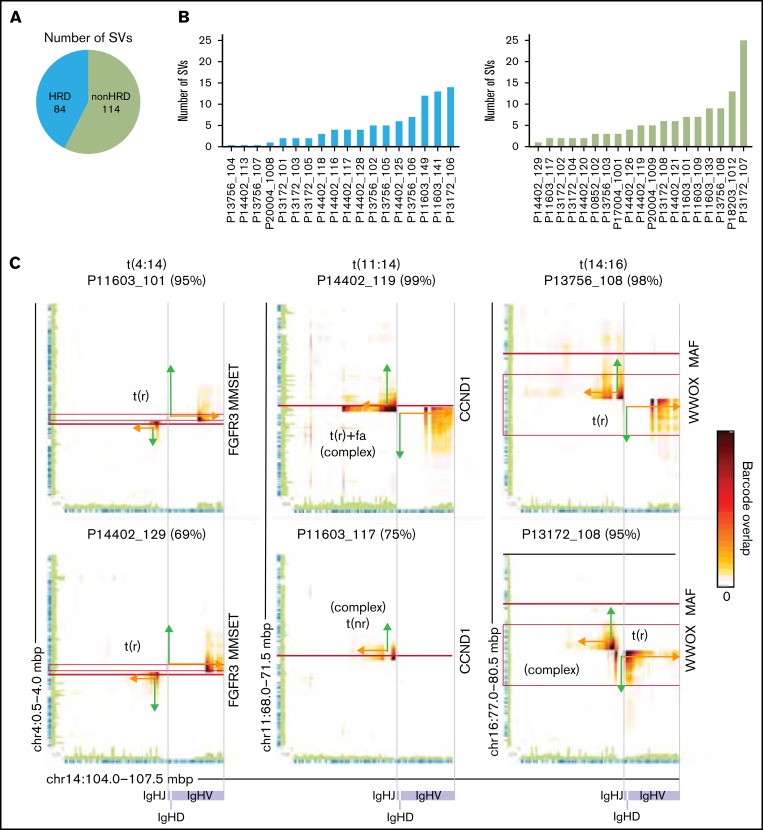【佳学基因检测】多发性骨髓瘤的深度基因检测及大数据分析 【佳学基因检测】多发性骨髓瘤的深度基因检测及大数据分析